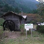 ��I�E���c�������J